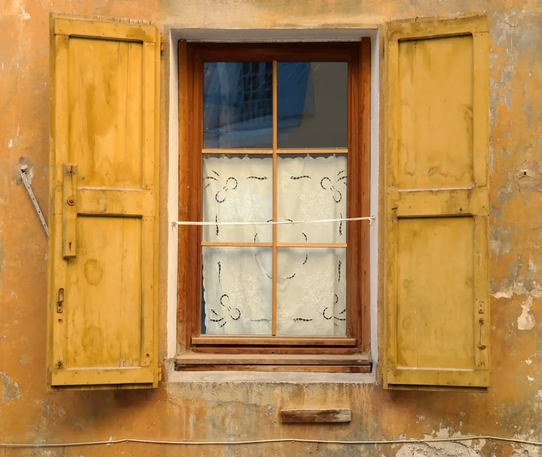 Photo Windows 11 menu highlights