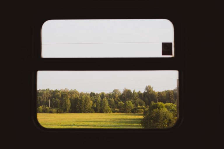 Photo Split Screen