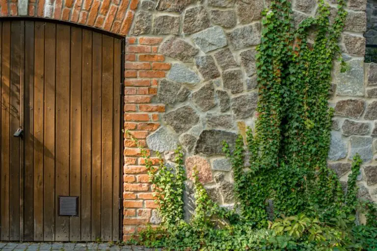 Photo "how to reset windows 11 password without logging in"