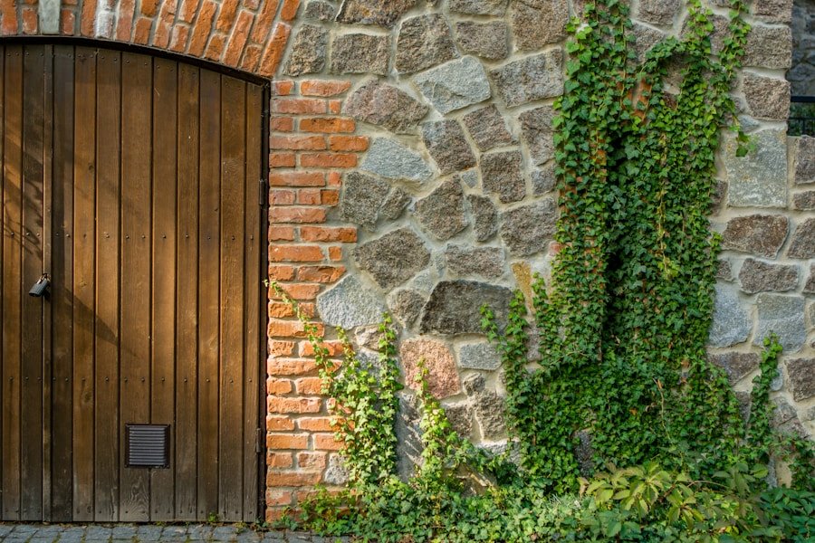 Photo "how to reset windows 11 password without logging in"