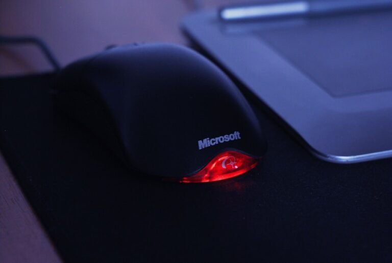 Photo "how to turn off mouse acceleration windows 11"