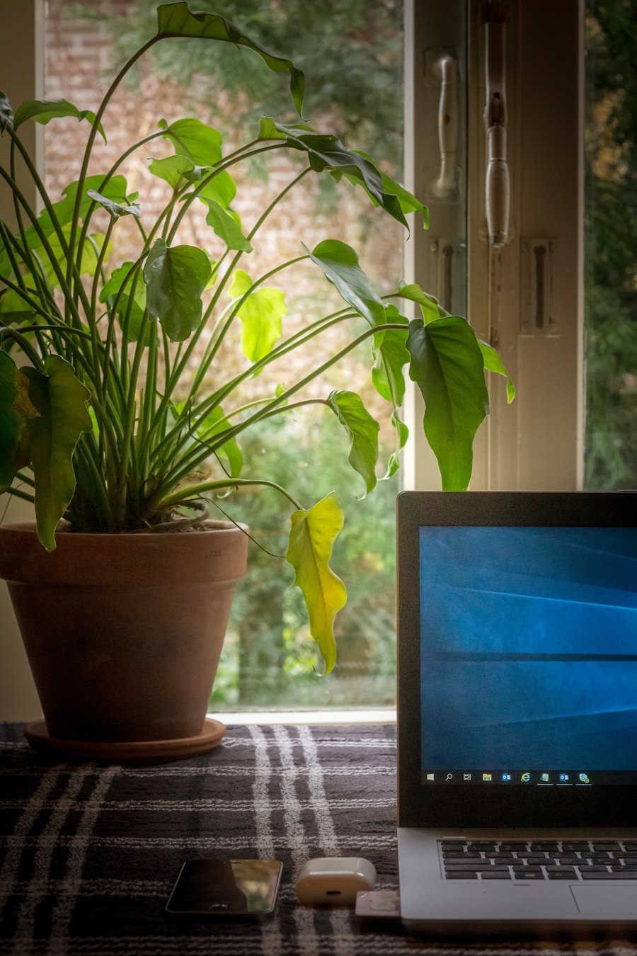 Photo "how to upgrade from windows 11 home to pro"