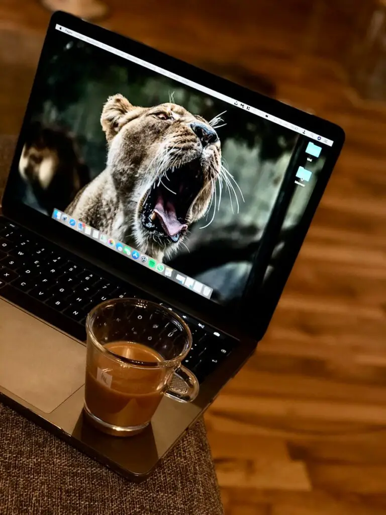 Photo "is windows 11 faster than windows 10"