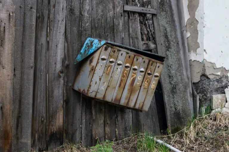 Photo "where is recycle bin in windows 11"