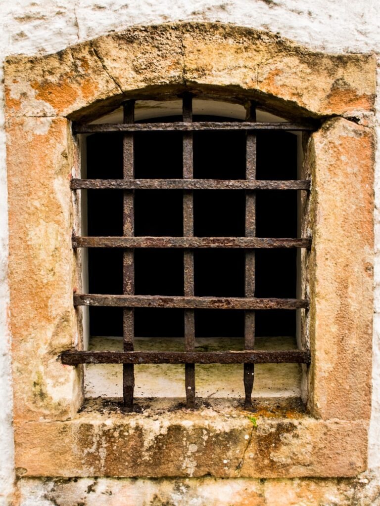 Photo "Does Comodo Firewall cover Windows 11?"