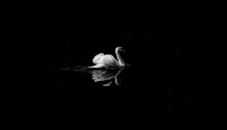 Photo Black screen