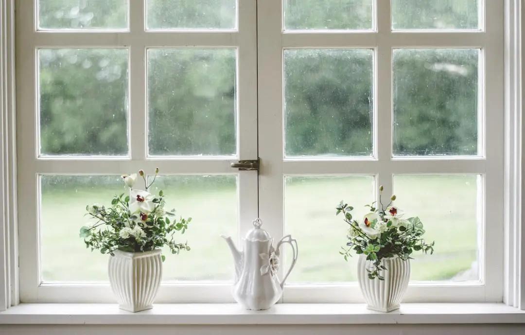 Photo Windows 11 interface